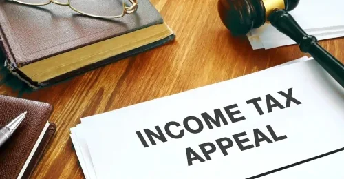Tax Appeals Services